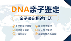 威海司法DNA鉴定到哪里做,威海司法亲子鉴定结果需要多久