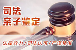 秦皇岛司法亲子鉴定如何做,秦皇岛司法亲子鉴定准确可靠吗