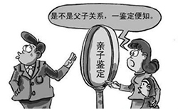 锦州权威隐私DNA亲子鉴定机构在哪儿