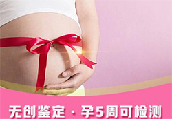 邢台产前亲子鉴定怎么收费(免费咨询)