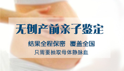 郑州胎儿亲子鉴定条件和流程（预约快速办理）
