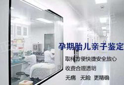 赤壁产前亲子鉴定机构出结果时间,赤壁怀孕亲子鉴定的流程