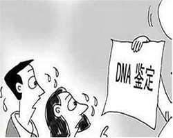 湖州去医院如何做亲子鉴定,湖州医院做DNA鉴定费用多少钱啊