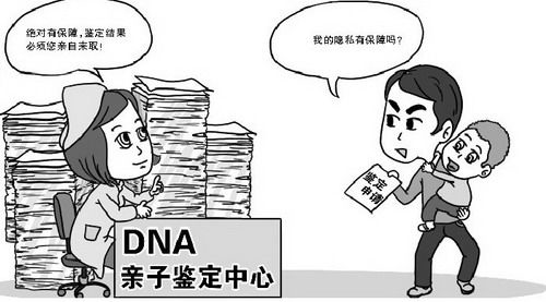 河北省哪个中心可以做血缘检测,河北省做亲子鉴定收费多少钱