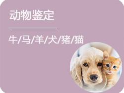 动物鉴定